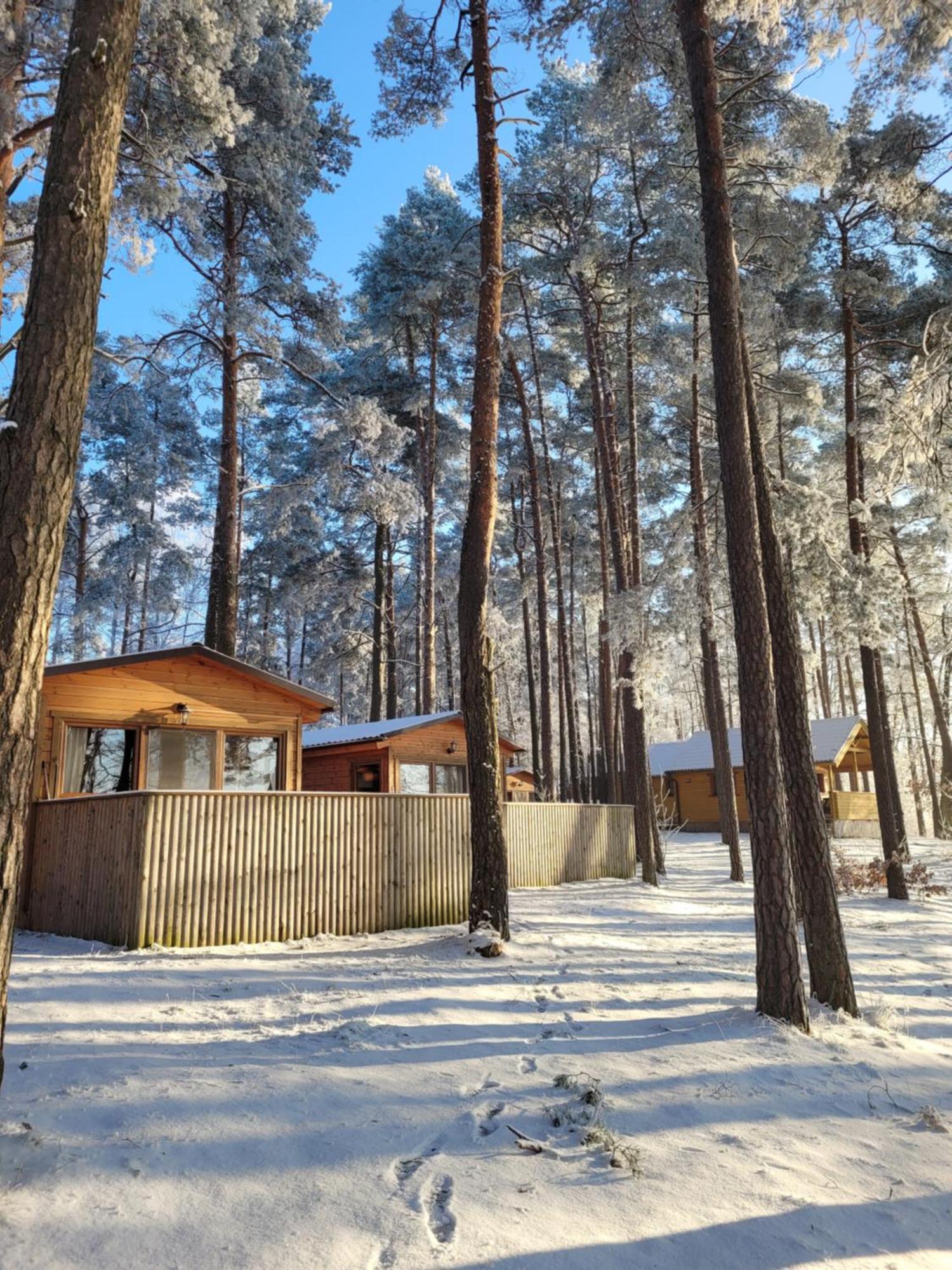Вилла Polwysep Lipa Вдзыдзе-Тухольске Экстерьер фото